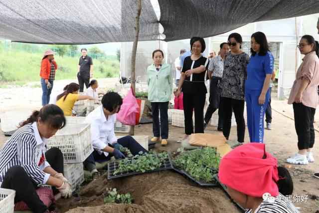 九三学社忻州市委会调研组赴宁武县调研