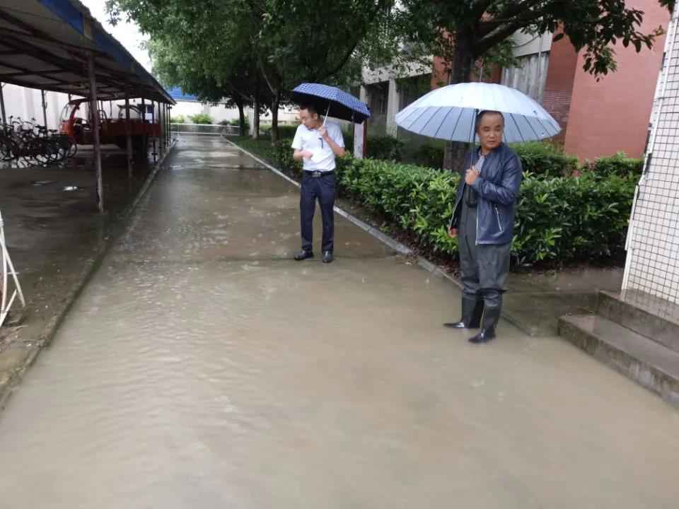 风雨中的坚守——民进会员王国人的防洪防汛事迹