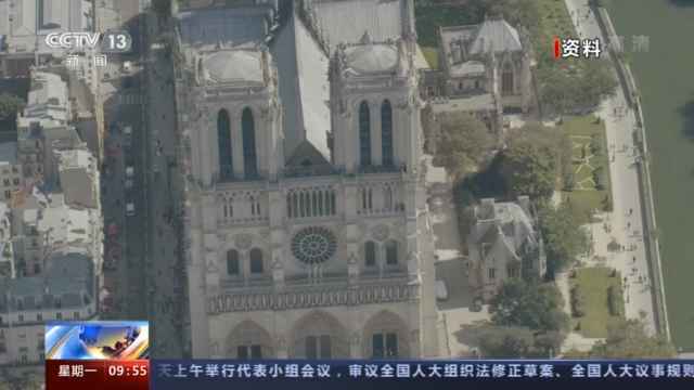 巴黎圣母院修复工作正式开始 将需千棵百年橡树 预计5年完工