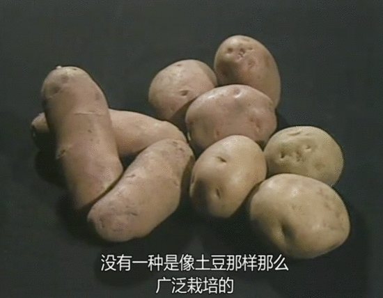  豆瓣9.0，比《舌尖》火得更早，它才是下饭片的鼻祖